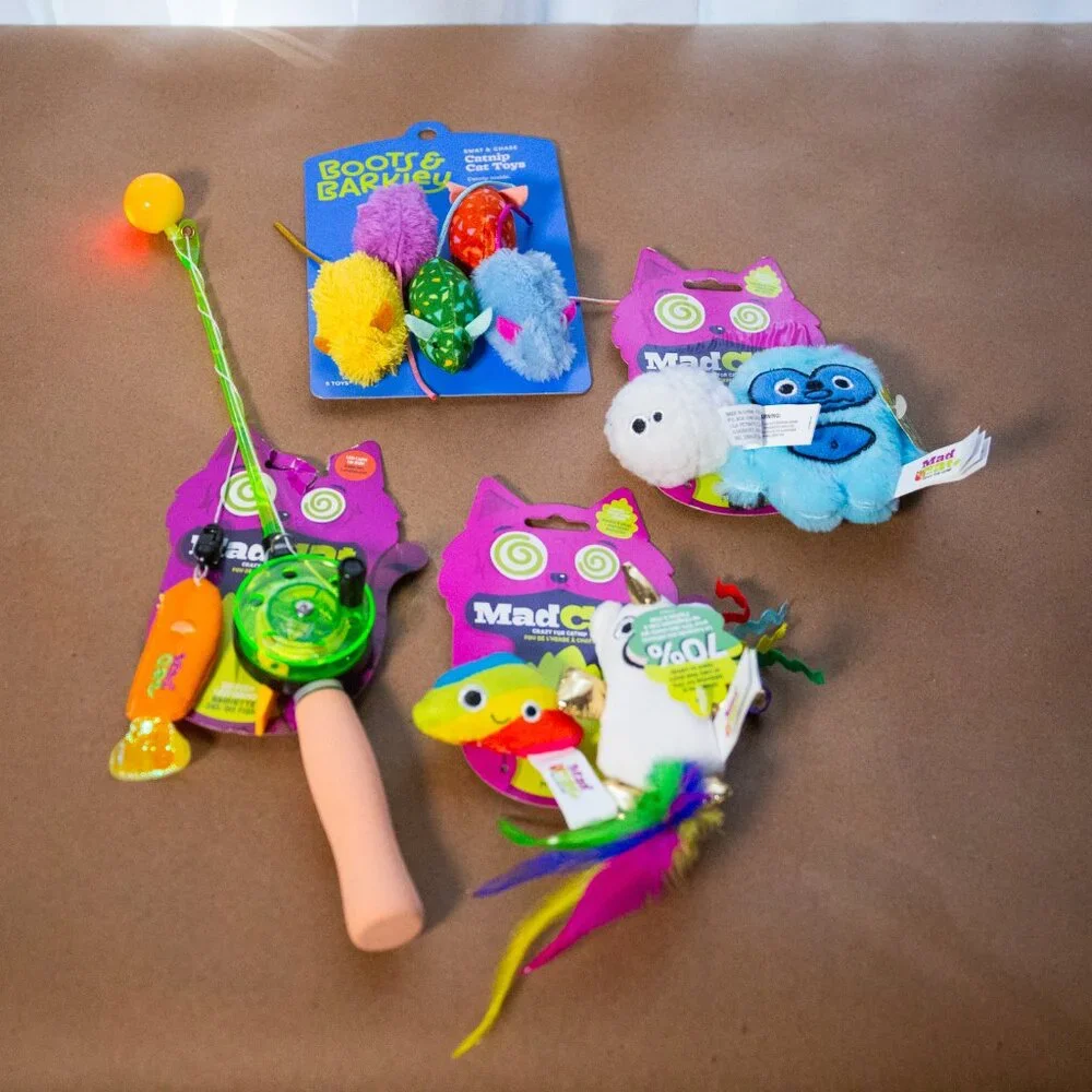 NEW ~ Ultimate Cat Toy Bundle, Boots & Barkley, Mad Cat - 10 Toys TOTAL!!!